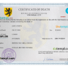 editable template, # united death universal certificate PSD template, completely editable