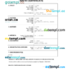 editable template, Bahamas vital record birth certificate Word and PDF template, completely editable