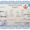 editable template, Brunei vital record birth certificate PSD template, completely editable