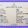 editable template, Burkina Faso vital record birth certificate PSD template, fully editable