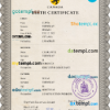 editable template, Canada vital record birth certificate PSD template, completely editable