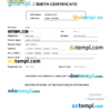 editable template, Chile vital record birth certificate Word and PDF template, completely editable