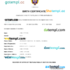 editable template, Colombia vital record birth certificate Word and PDF template, completely editable