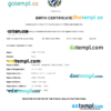 editable template, Cuba vital record birth certificate Word and PDF template, completely editable