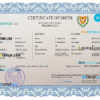 editable template, Cyprus vital record birth certificate PSD template