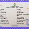 editable template, Denmark birth certificate PSD template, completely editable