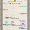 editable template, Egypt vital record birth certificate PSD template, fully editable