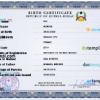 editable template, Guinea-Bissau birth certificate PSD template, completely editable