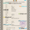 editable template, Guyana vital record birth certificate PSD template, fully editable