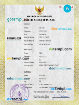 editable template, Indonesia vital record birth certificate PSD template, completely editable