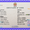 editable template, Jamaica vital record birth certificate PSD template, fully editable