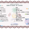 editable template, Maldives vital record birth certificate PSD template, fully editable