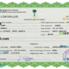 editable template, Saudi Arabia vital record birth certificate PSD template