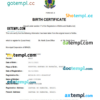editable template, Brazil vital record birth certificate Word and PDF template, completely editable