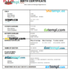 editable template, Brunei vital record birth certificate Word and PDF template