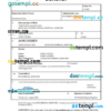 editable template, Burundi vital record birth certificate Word and PDF template, completely editable