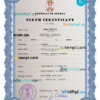 editable template, Serbia vital record birth certificate PSD template, fully editable