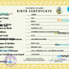 editable template, Solomon vital record birth certificate PSD template, fully editable