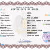 editable template, South Sudan birth certificate PSD template, completely editable