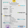 editable template, Syria birth certificate PSD template, completely editable