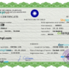 editable template, Taiwan vital record birth certificate PSD template, fully editable