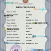 editable template, United Arab Emirates vital record birth certificate PSD template