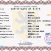 editable template, # discover universal birth certificate PSD template, fully editable