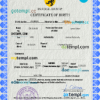 editable template, # flow universal birth certificate PSD template, fully editable