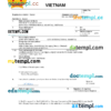 editable template, Vietnam vital record death certificate Word and PDF template