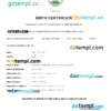 editable template, Belize vital record birth certificate Word and PDF template, fully editable