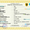 editable template, # power universal birth certificate PSD template, completely editable
