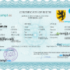 editable template, # voice universal birth certificate PSD template, completely editable