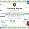 editable template, # fancy universal marriage certificate Word and PDF template, fully editable