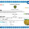 editable template, # hypnotic universal marriage certificate Word and PDF template, fully editable
