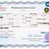 editable template, # full-frontal universal marriage certificate Word and PDF template, completely editable