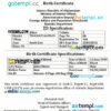 editable template, AFGHANISTAN vital record birth certificate editable PSD template, version 2