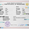 editable template, Afghanistan marriage certificate PSD template, fully editable
