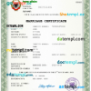 editable template, Albania marriage certificate Word and PDF template, fully editable