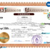 editable template, Argentina marriage certificate Word and PDF template, fully editable