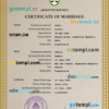 editable template, Argentina marriage certificate PSD template, fully editable