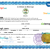 editable template, Belize marriage certificate Word and PDF template, completely editable