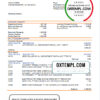 editable template, Bolivia Banco de Crédito de Bolivia bank statement template in Word and PDF format