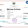 editable template, Central African Republic marriage certificate Word and PDF template, completely editable