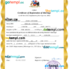 editable template, Chile marriage certificate Word and PDF template, fully editable