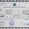 editable template, Chile marriage certificate PSD template, completely editable
