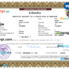 editable template, Colombia marriage certificate Word and PDF template, fully editable