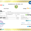 editable template, Cote d'Ivoire marriage certificate Word and PDF template, fully editable