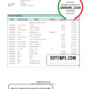editable template, Estonia Bigbank proof of address bank statement template in Word and PDF format,(.doc and .pdf)