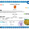editable template, Finland marriage certificate Word and PDF template, fully editable