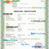 editable template, Georgia marriage certificate Word and PDF template, fully editable
